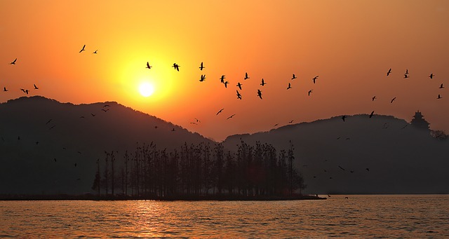夕阳, 东湖, 武汉