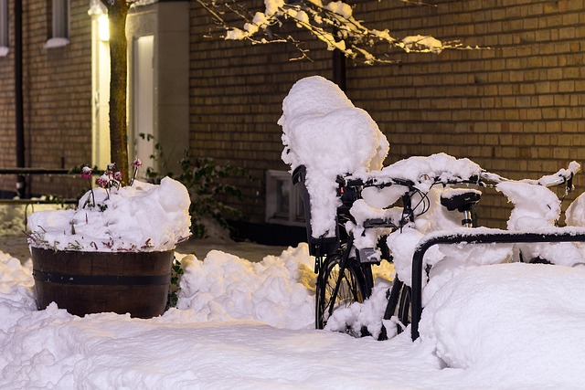 自行车, 雪, 覆盖