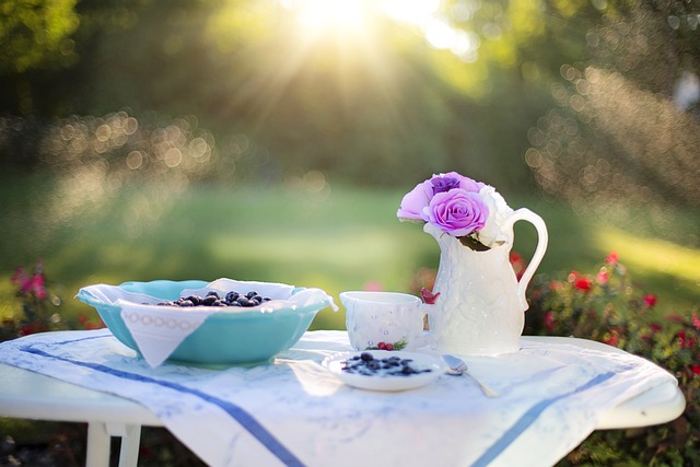 蓝莓, 早餐, 阳光