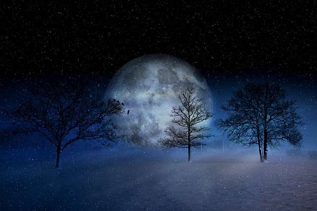冬天, 冬季景观, 月亮