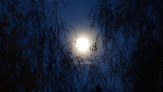 夜晚, 月亮, 月光