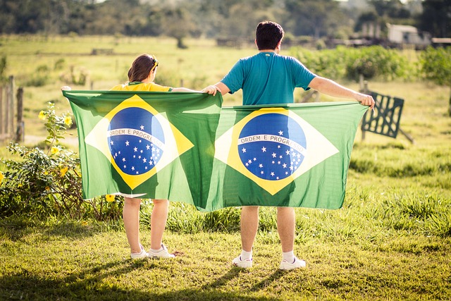 巴西, 爱国者, 国旗