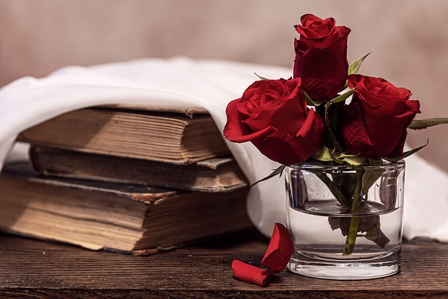 玫瑰, 红色的, 旧书籍