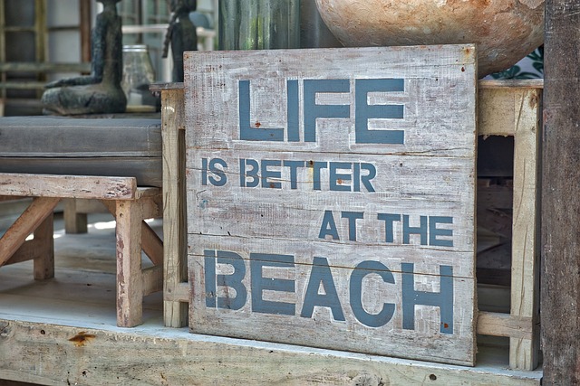 海滩, 生活, 乐趣