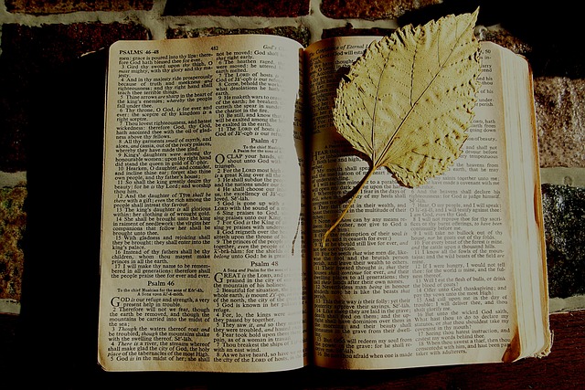 圣经, 圣经学习 圣经讨论, 书签