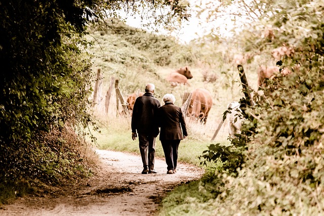 老年, 夫妻, 步行