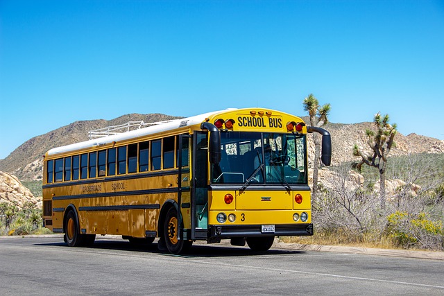 学校巴士, 黄色, 美国