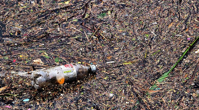 瓶子, 浪费, 污染