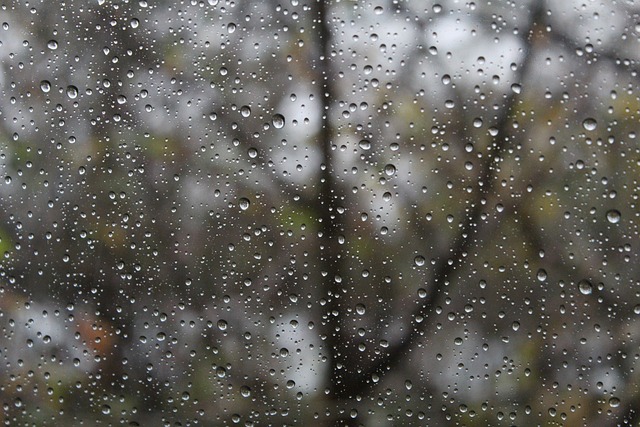 六月,下雨,农时,气象,谚语