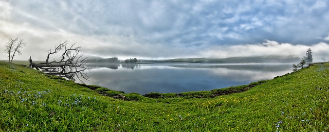 全景观, 一个小湖, 早晨雾