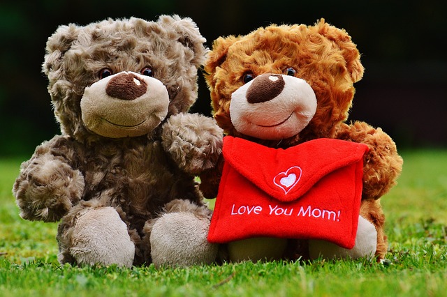 母亲节快乐, 泰迪熊, 爱