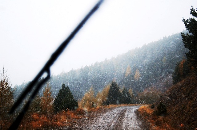 山区公路, 下雪, 雪