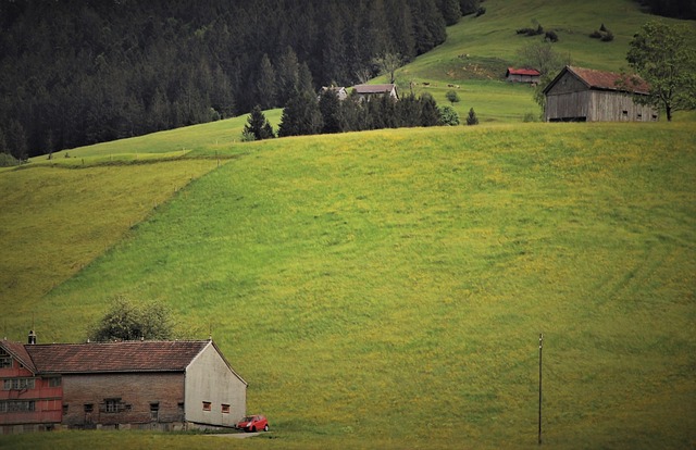 绿色的田野, 梅多斯, 阿尔卑斯山村