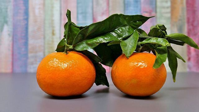橘子, 水果, 普通话的树叶