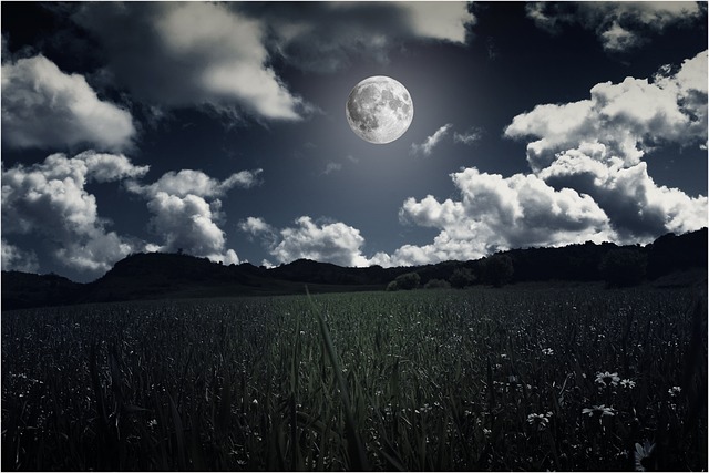 风景, 月亮, 夜