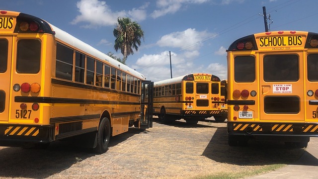 公共汽车, 学校, 学校巴士
