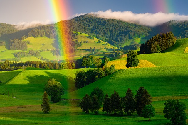 彩虹, 丘陵, 树木