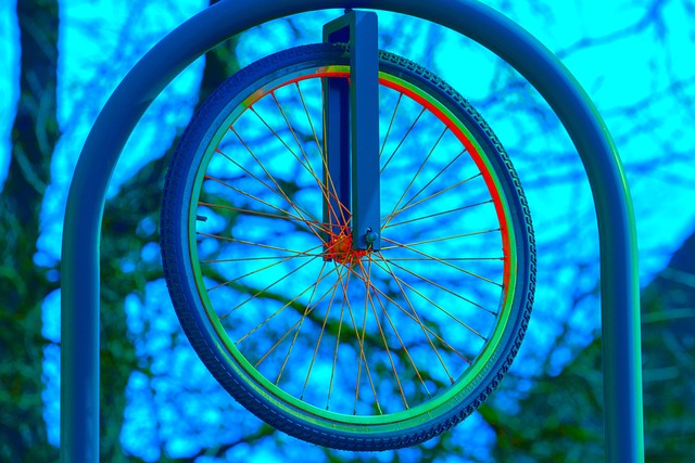 车轮, 自行车轮, 去骑自行车
