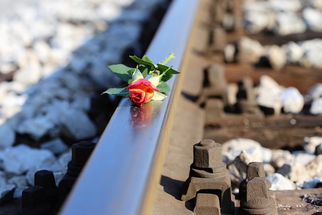 停止青少年自杀的, 黄色玫瑰上的火车, 停止学生自杀