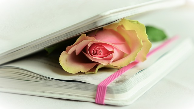 玫瑰, 一本书, 诗歌