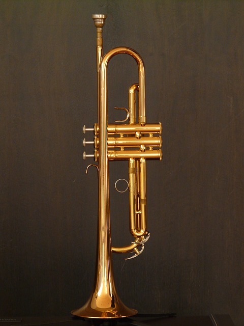 喇叭, 铜管乐器, 仪器