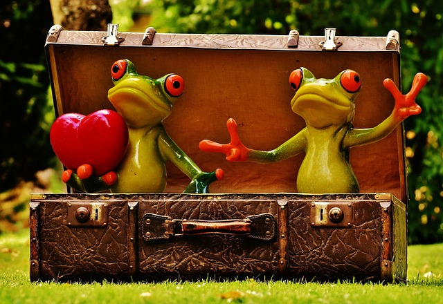 青蛙, 思乡, 去旅行