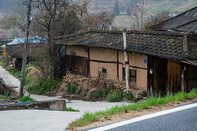 一个国家的房子, 家乡, 韩国